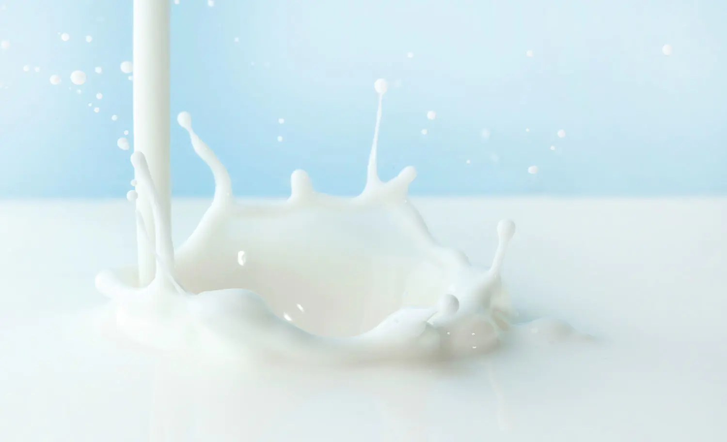 Milchproduktionslinie